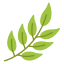 Health and Herbal Needs